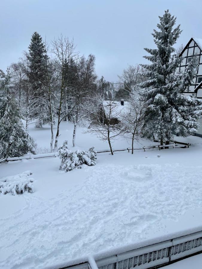 Aventur Studio 212 Am Rotharrsteig Medebach Exterior foto